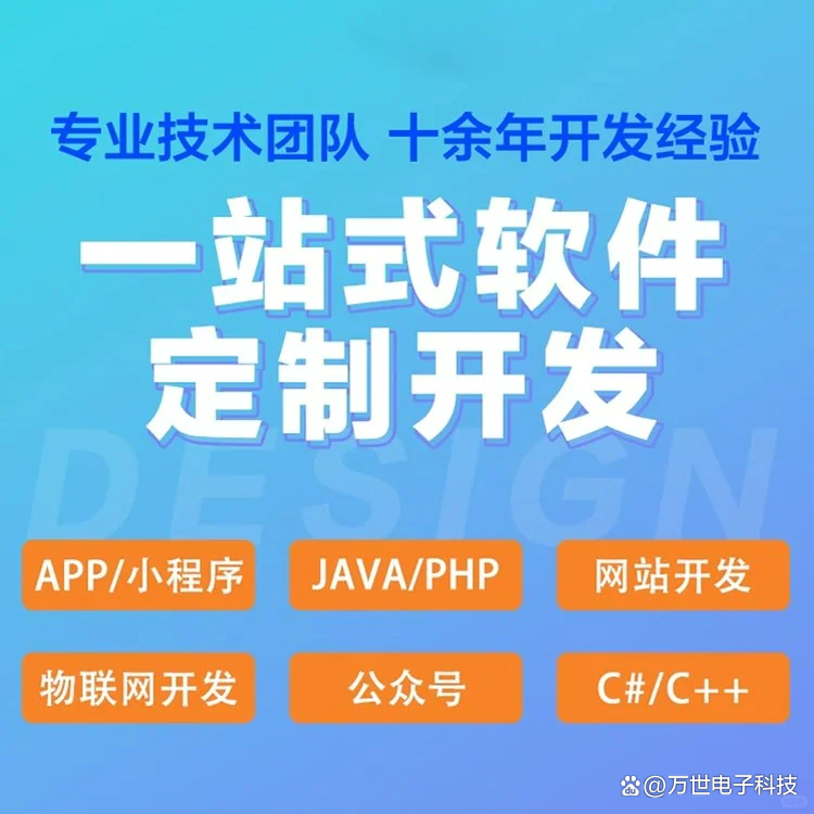 世纪城软件开发